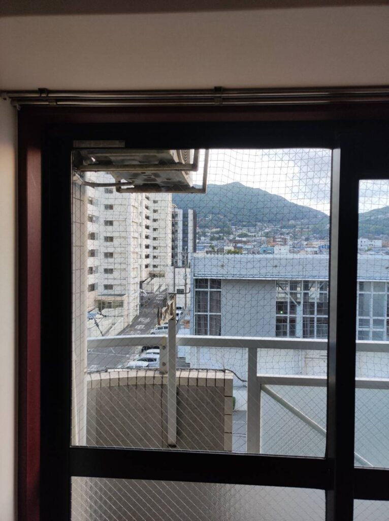 透明磨き網入りガラス
